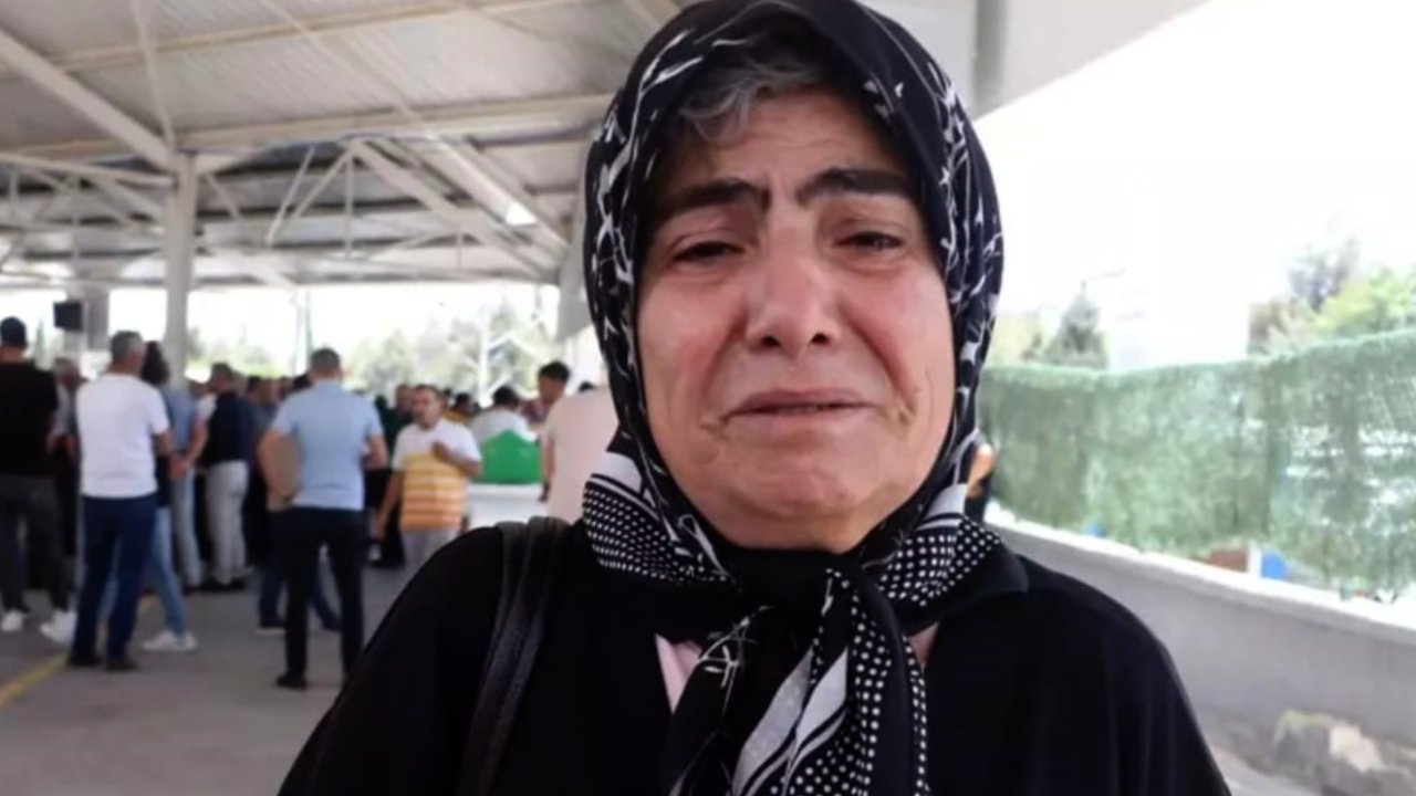 Gaziantep'te acılı anne, kızından geriye kalan kedilere kavuştu