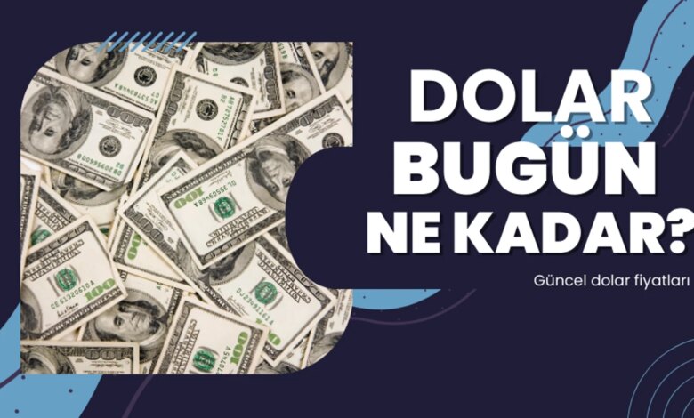 Gaziantep’te Döviz Piyasası Sakin: Dolar ve Euro'da Değişim Yok