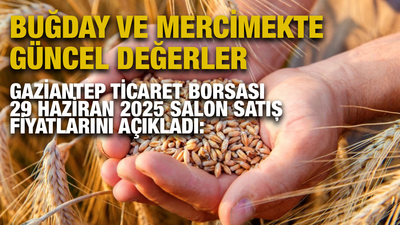 Gaziantep Ticaret Borsası 29 Haziran 2025 Salon Satış Fiyatlarını Açıkladı: Buğday ve Mercimekte Güncel Değerler