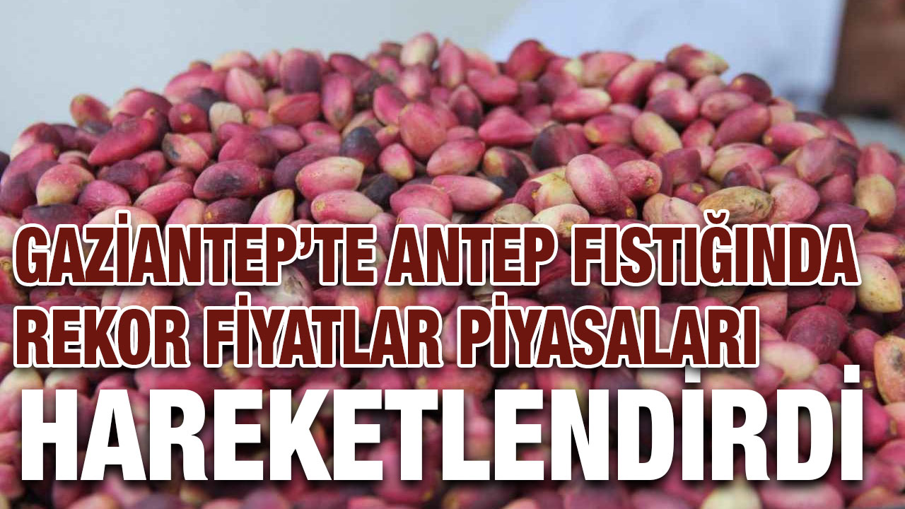 Gaziantep’te Antep Fıstığında Rekor Fiyatlar Piyasaları Hareketlendirdi
