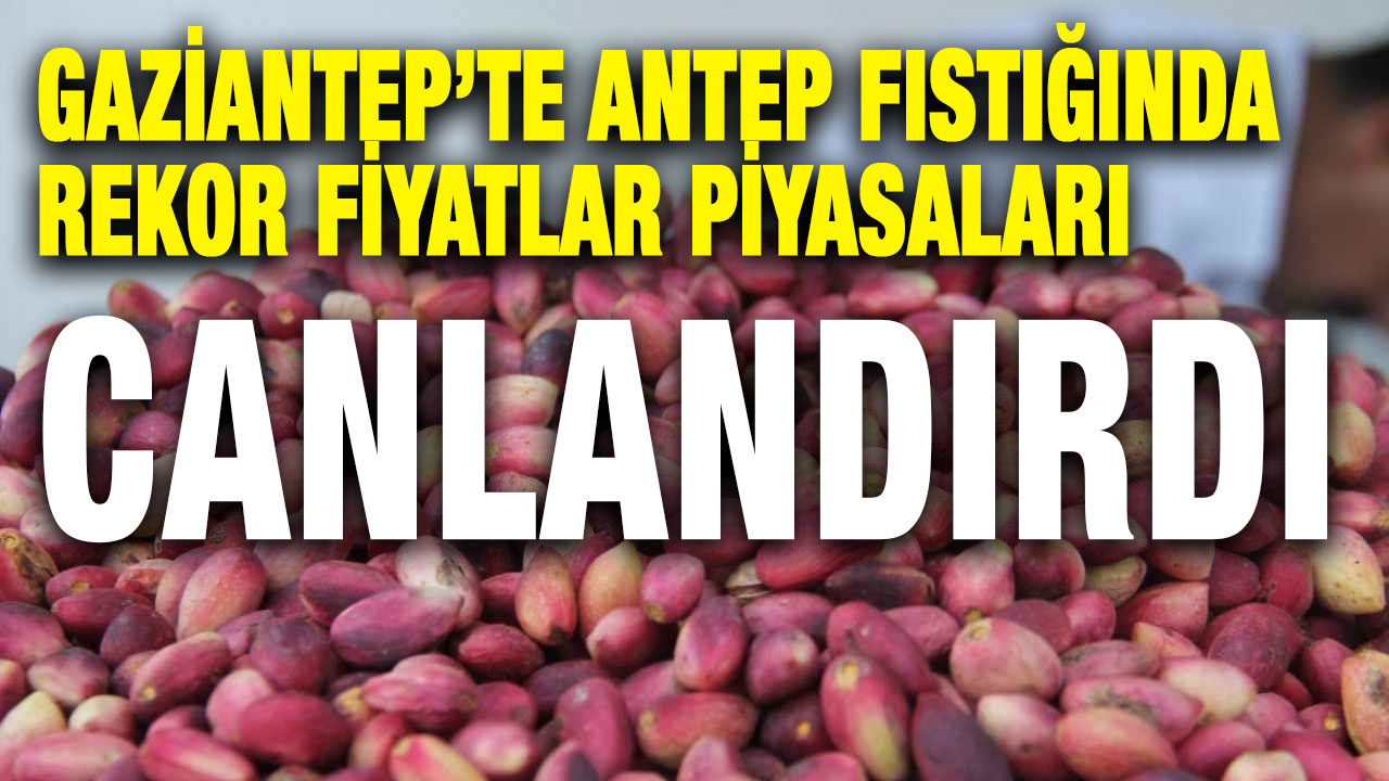 Gaziantep’te Antep Fıstığında Rekor Fiyatlar Piyasaları Canlandırdı