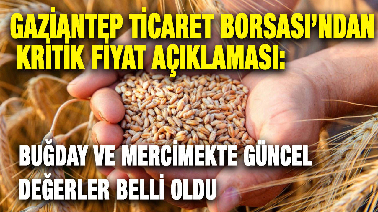 Gaziantep Ticaret Borsası’ndan Kritik Fiyat Açıklaması: Buğday ve Mercimekte Güncel Değerler Belli Oldu