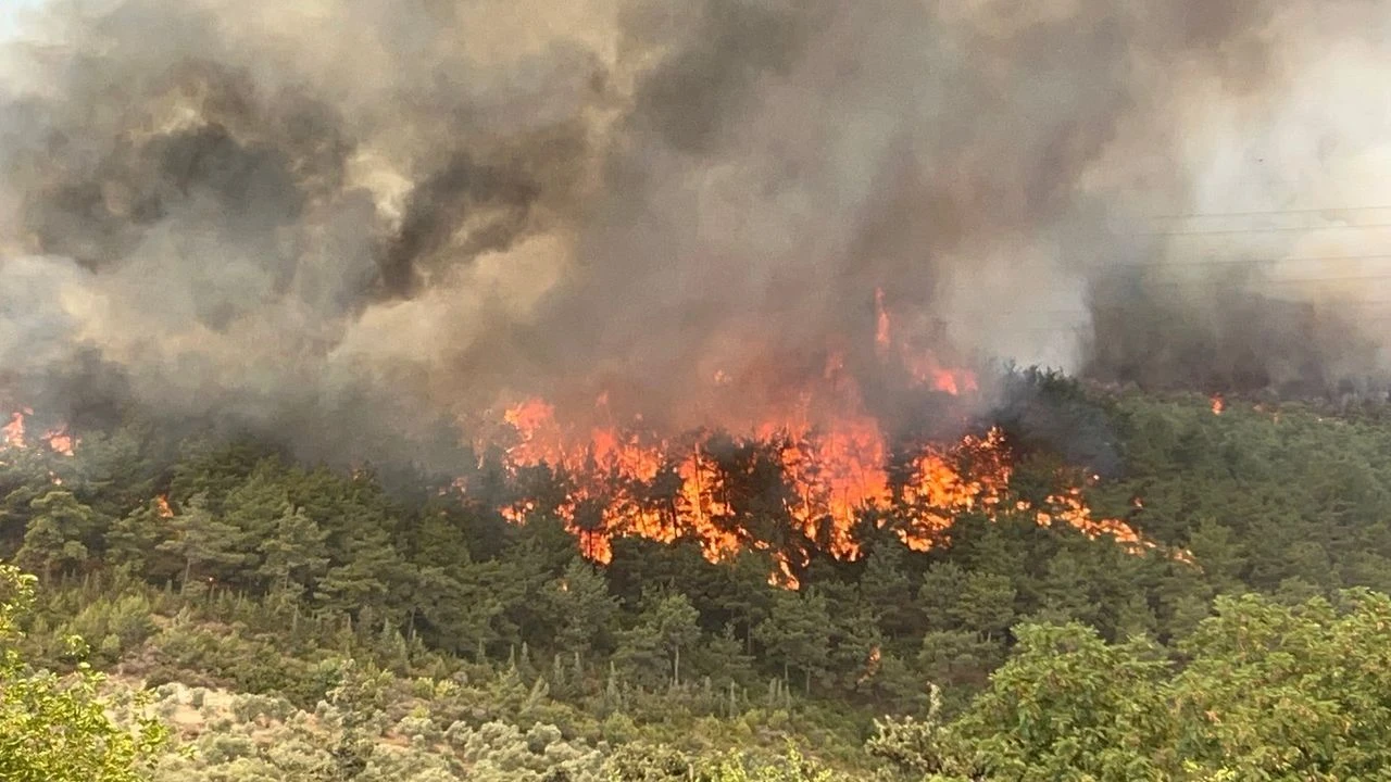 Gaziantep, Hatay’daki Orman Yangınına Destek Verdi