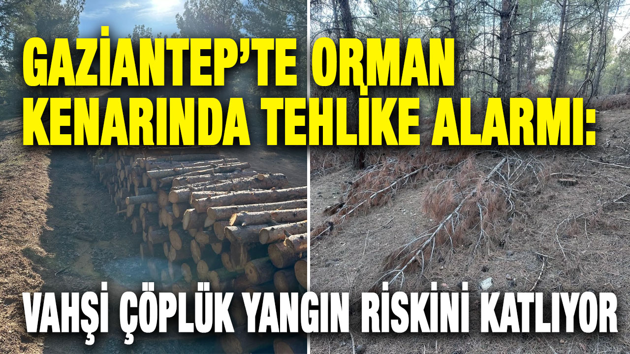 Gaziantep’te Orman Kenarında Tehlike Alarmı: Vahşi Çöplük Yangın Riskini Katlıyor