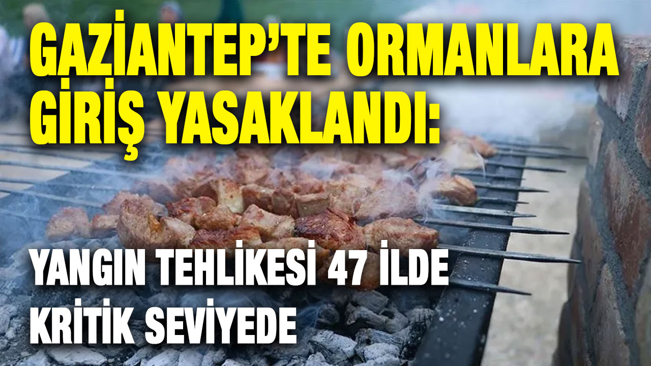 Gaziantep’te Ormanlara Giriş Yasaklandı: Yangın Tehlikesi 47 İlde Kritik Seviyede