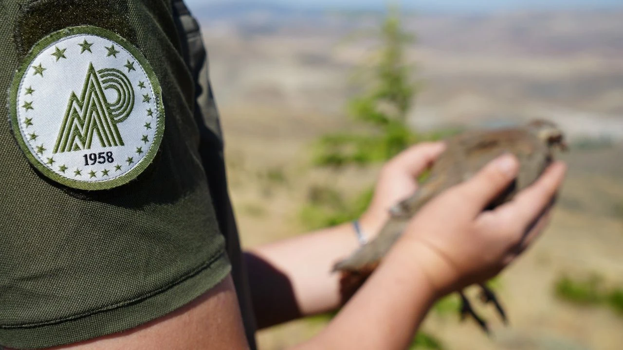 Gaziantep’den Keneyle Doğal Mücadele İçin Önemli Adım: 500 Kınalı Keklik Doğaya Salındı