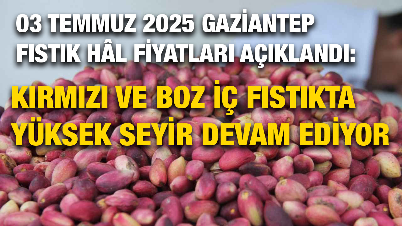 03 Temmuz 2025 Gaziantep Fıstık Hâl Fiyatları Açıklandı: Kırmızı ve Boz İç Fıstıkta Yüksek Seyir Devam Ediyor