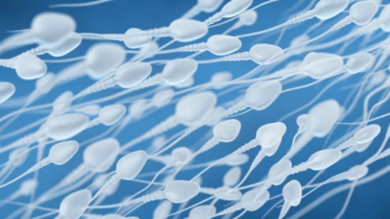 Sperm Bozukluğu Tedavisinde Yeni Yaklaşımlar