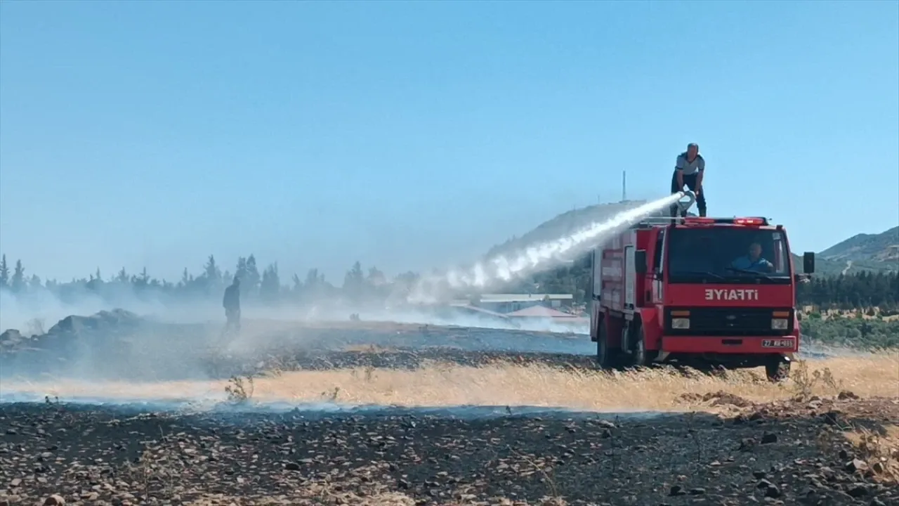 Gaziantep'te çıkan orman yangını söndürüldü