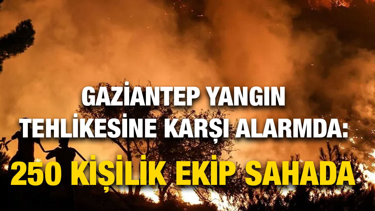 Gaziantep Yangın Tehlikesine Karşı Alarmda: 250 Kişilik Ekip Sahada