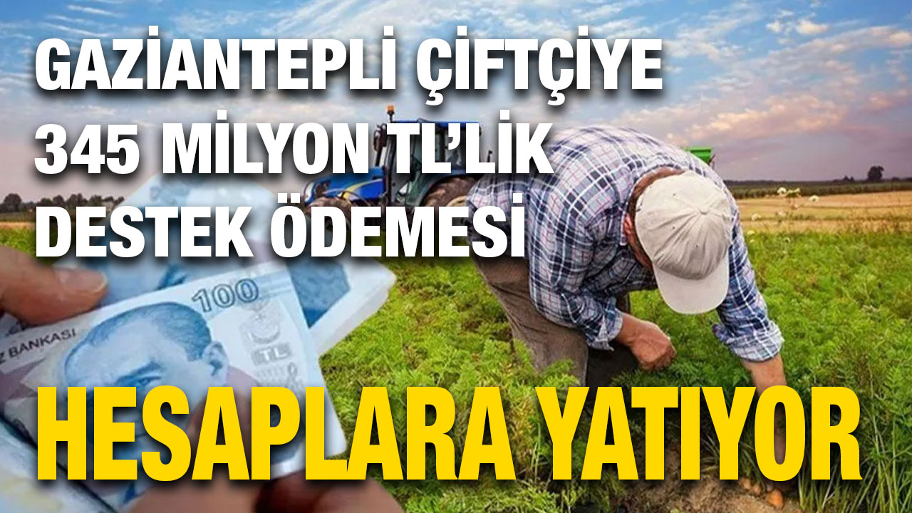 Gaziantepli Çiftçiye 345 Milyon TL’lik Destek Ödemesi Hesaplara Yatıyor