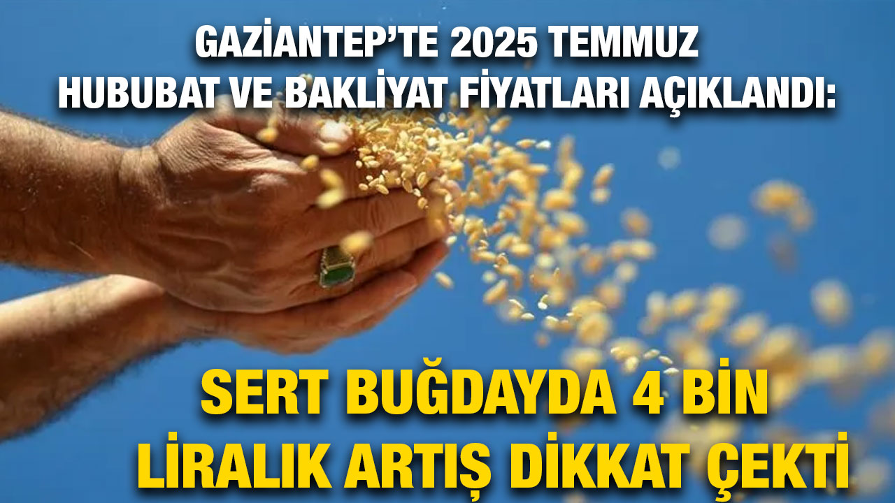 Gaziantep’te 2025 Temmuz Hububat ve Bakliyat Fiyatları Açıklandı: Sert Buğdayda 4 Bin Liralık Artış Dikkat Çekti