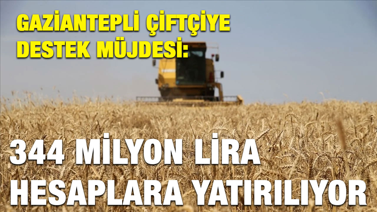 Gaziantepli Çiftçiye Destek Müjdesi: 344 Milyon Lira Hesaplara Yatırılıyor