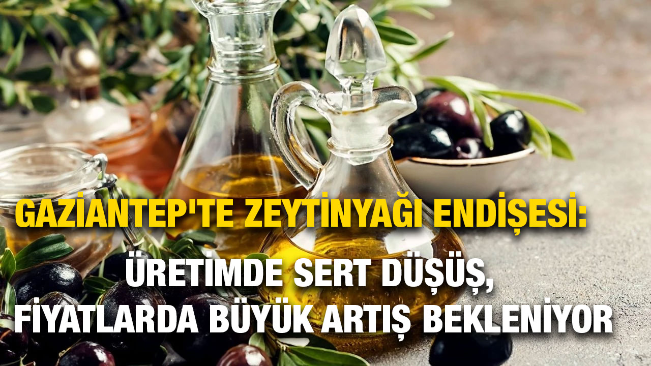 Gaziantep'te Zeytinyağı Endişesi: Üretimde Sert Düşüş, Fiyatlarda Büyük Artış Bekleniyor