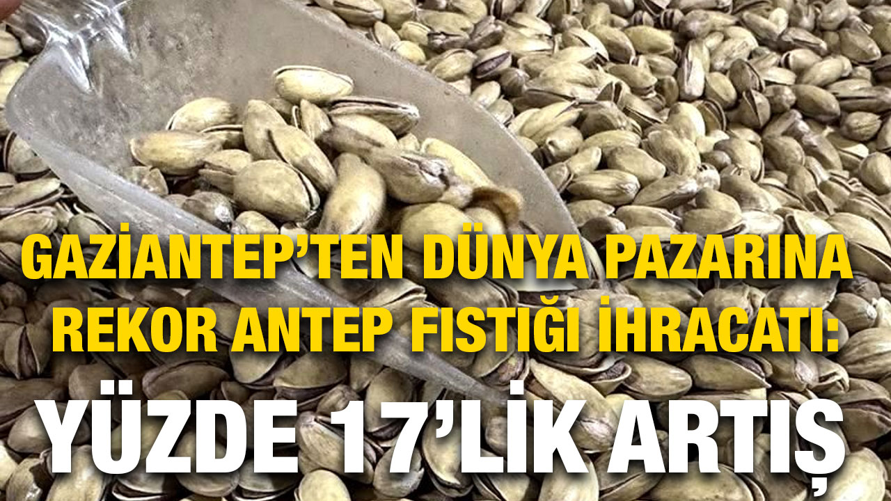 Gaziantep’ten Dünya Pazarına Rekor Antep Fıstığı İhracatı: Yüzde 17’lik Artış