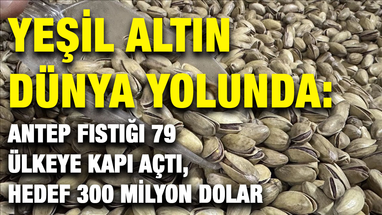 Yeşil Altın Dünya Yolunda: Antep Fıstığı 79 Ülkeye Kapı Açtı, Hedef 300 Milyon Dolar