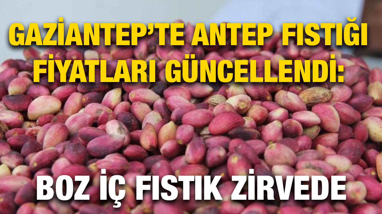 Gaziantep’te Antep Fıstığı Fiyatları Güncellendi: Boz İç Fıstık Zirvede