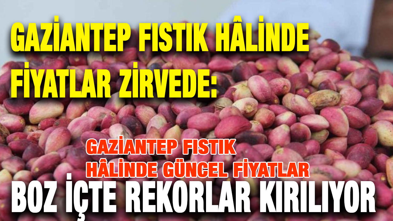 Gaziantep Fıstık Hâlinde Fiyatlar Zirvede: Boz İçte Rekorlar Kırılıyor
