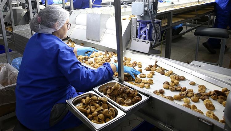 Güneydoğu'nun kuru meyve ihracatı yılın ilk yarısında yüzde 15,6 arttı