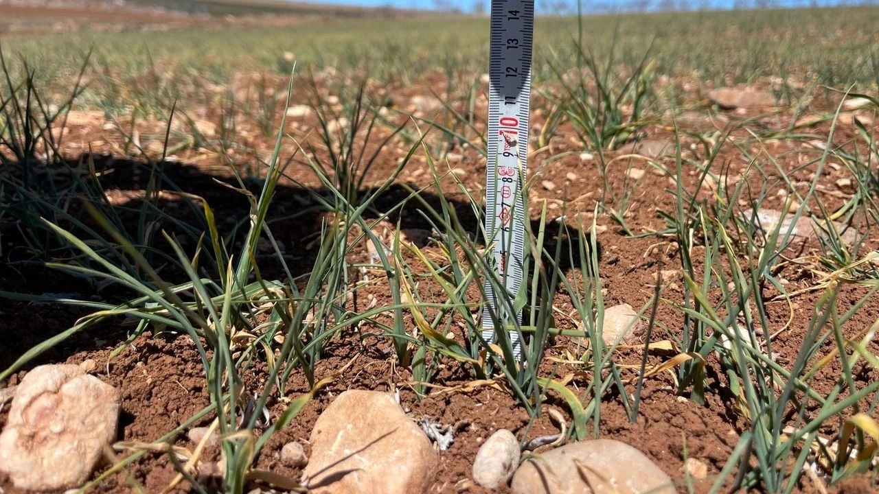 Gaziantep İçin Alarm Zilleri Çalıyor: Kuraklık ve Çölleşme Kapıda