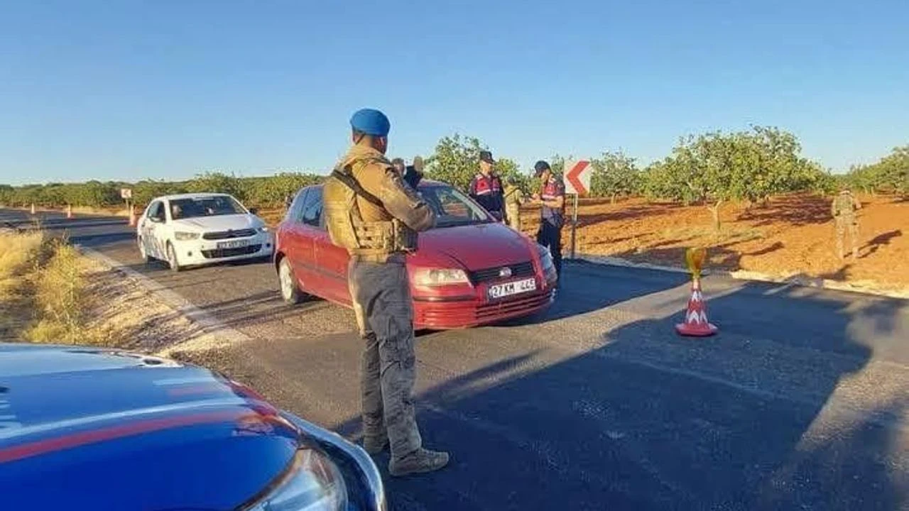 Gaziantep'te Fıstık Alarmı: 5 İlçede Olağanüstü Önlem