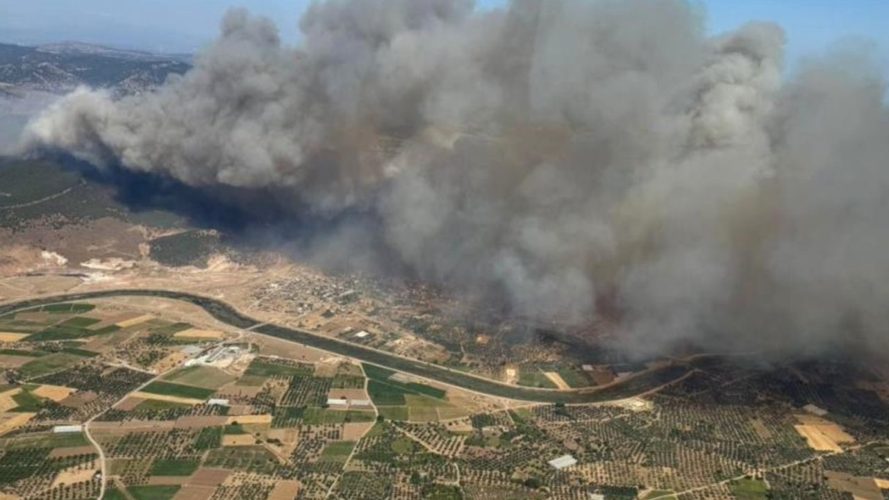 Çanakkale Yanıyor! Ayvacık ve Orman Yangını