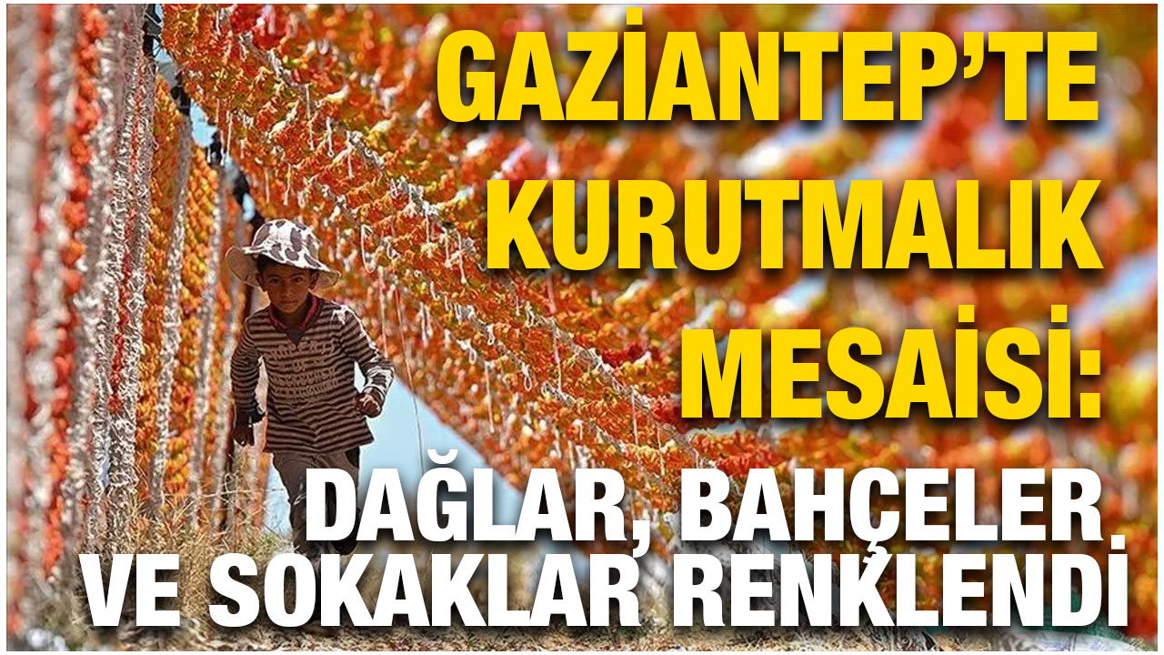 Gaziantep’te Kurutmalık Mesaisi: Dağlar, Bahçeler ve Sokaklar Renklendi