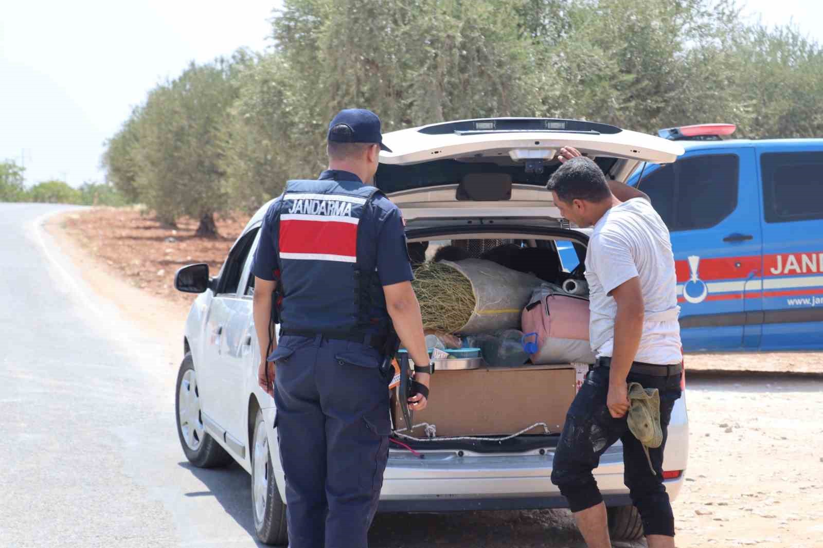 Gaziantep'te fıstık hırsızlığına jandarmadan sıkı denetim