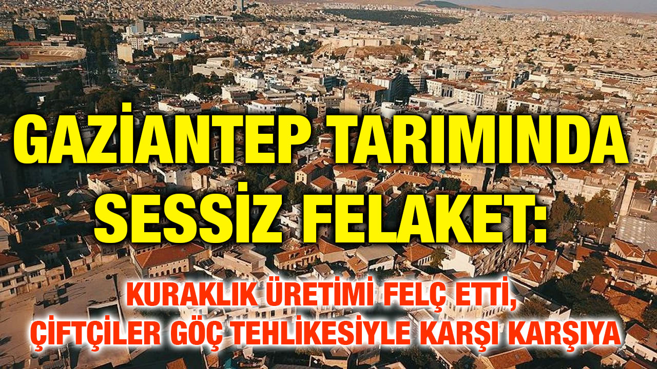 Gaziantep Tarımında Sessiz Felaket: Kuraklık Üretimi Felç Etti, Çiftçiler Göç Tehlikesiyle Karşı Karşıya