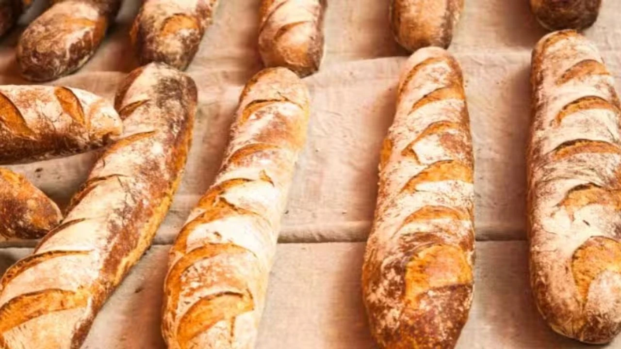 Gaziantep’te Her Gün Soframıza Geliyor Ama... Ekmek Hakkında Bilinmeyen 21 Şaşırtıcı Gerçek          ChatGPT’ye sor