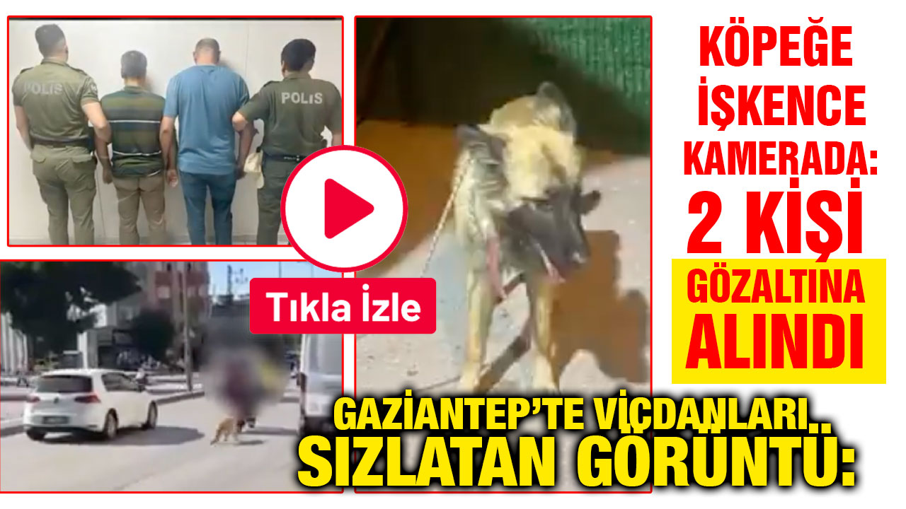 Gaziantep’te Vicdanları Sızlatan Görüntü: Köpeğe İşkence Kamerada: 2 Kişi Gözaltına Alındı