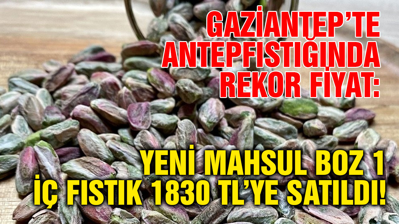Gaziantep’te Antepfıstığında Rekor Fiyat: Yeni Mahsul Boz 1 İç Fıstık 1830 TL’ye Satıldı!