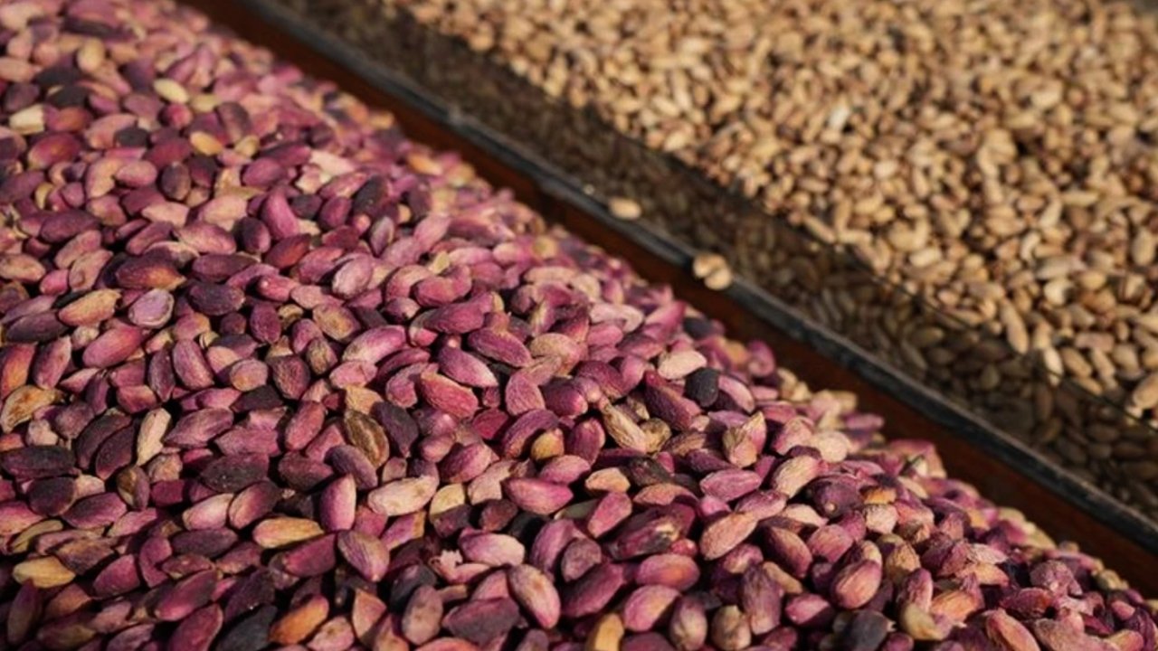 Fıstık Sezonu Açıldı, Gaziantep’te Fiyatlar Tepki Çekti!