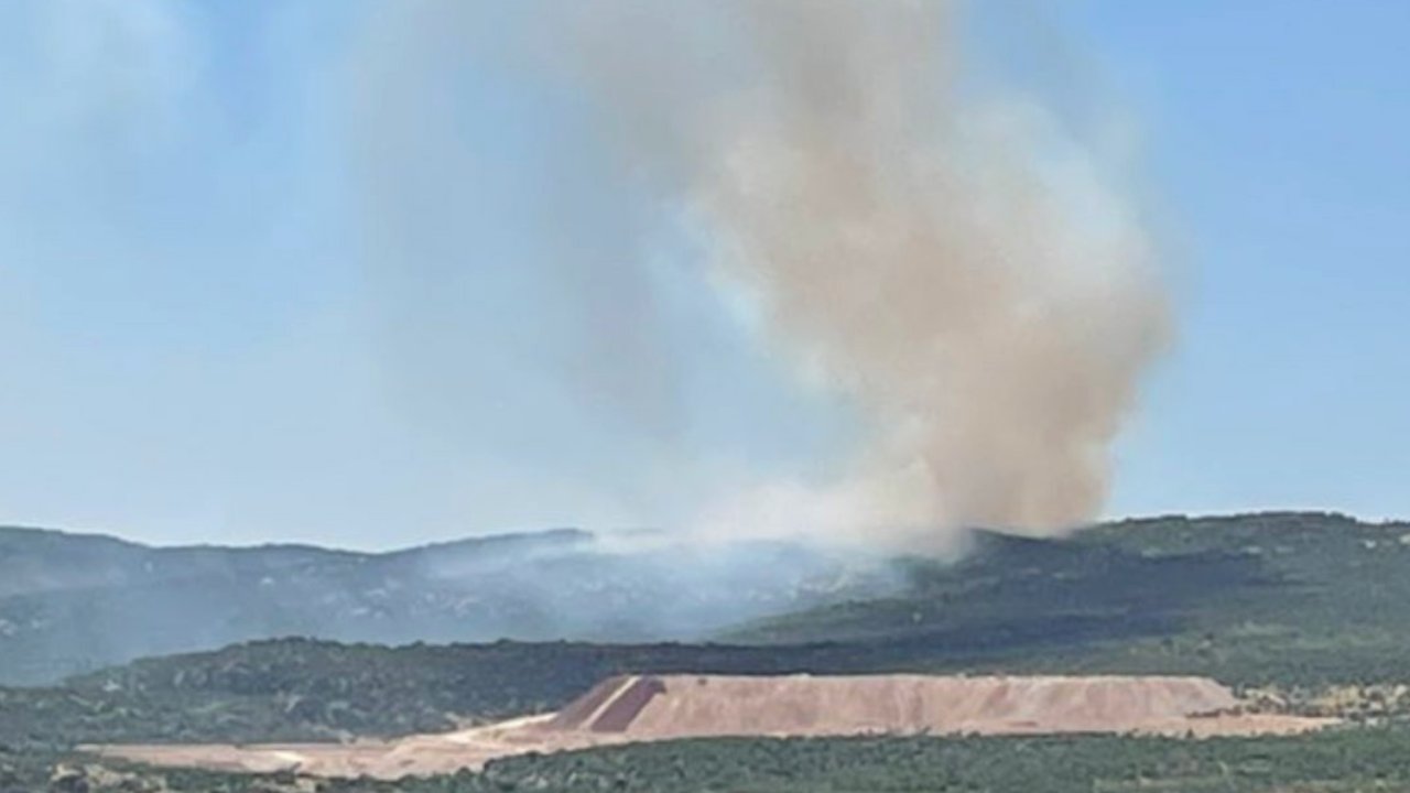 Gaziantep'te Orman Yangını! Havadan ve Karadan Müdahale Ediliyor