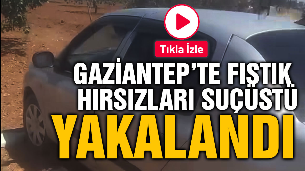 Gaziantep’te Fıstık Hırsızları Suçüstü Yakalandı