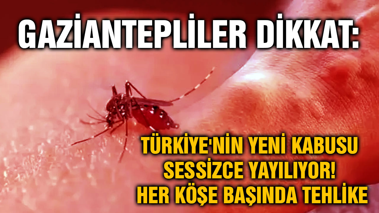 Gaziantepliler Dikkat: Türkiye'nin Yeni Kabusu Sessizce Yayılıyor! Her Köşe Başında Tehlike