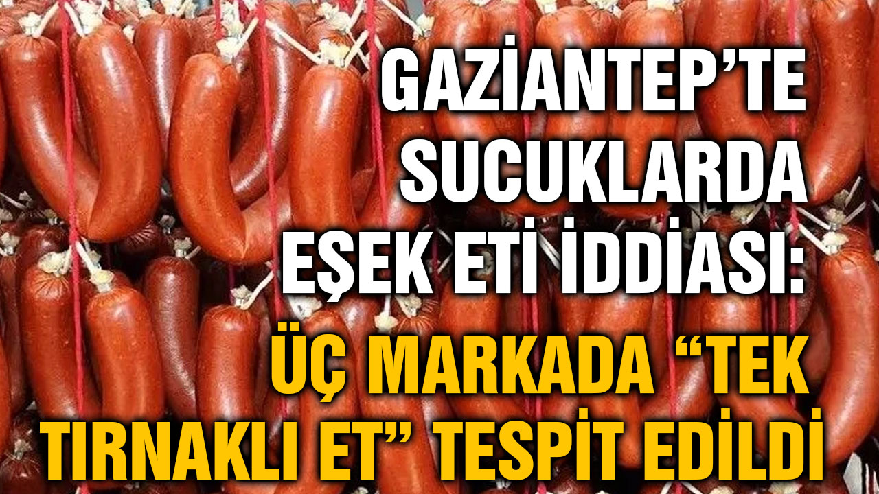 Gaziantep’te Sucuklarda Eşek Eti İddiası: Üç Markada “Tek Tırnaklı Et” Tespit Edildi