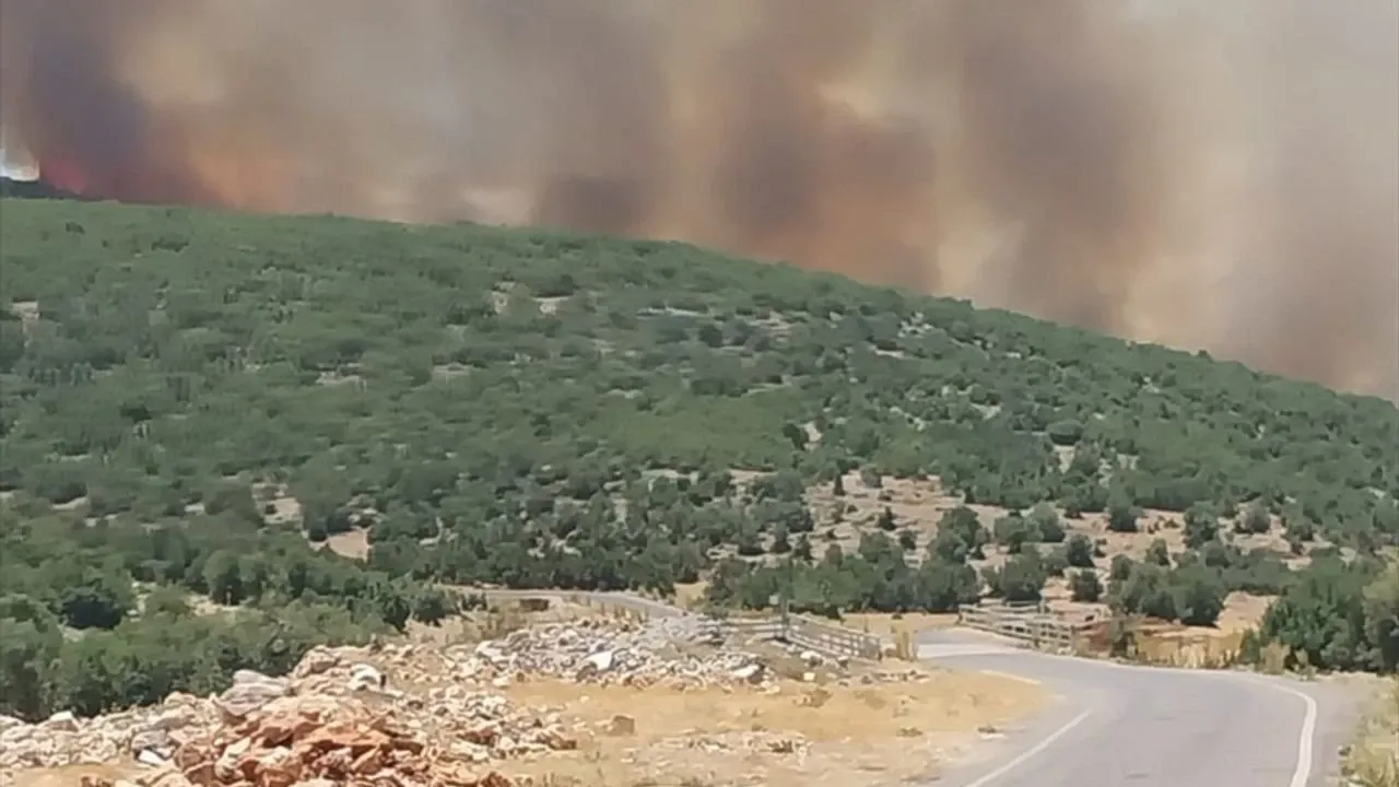 Gaziantep'te çıkan orman yangını kontrol altına alındı