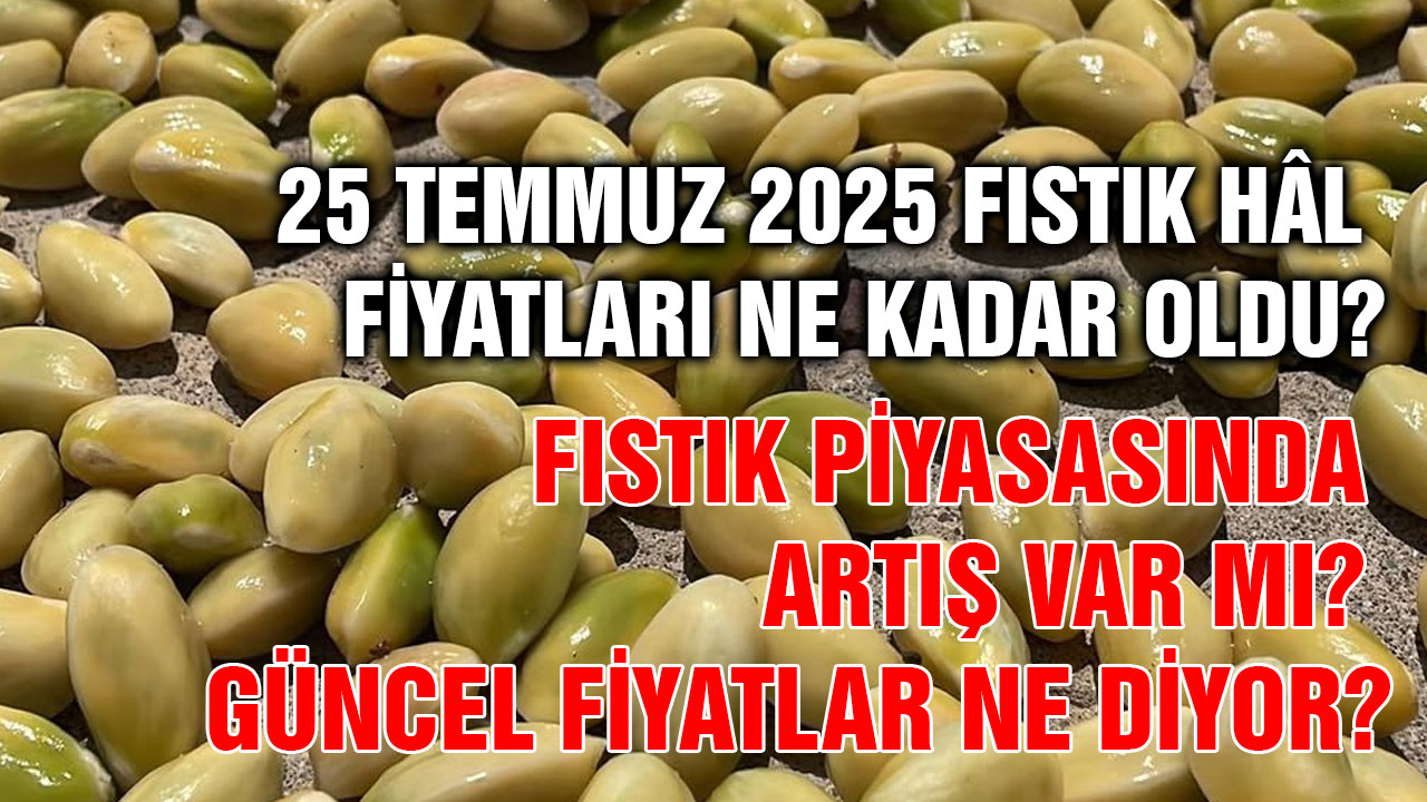 25 Temmuz 2025 Fıstık Hâl Fiyatları Ne Kadar Oldu?