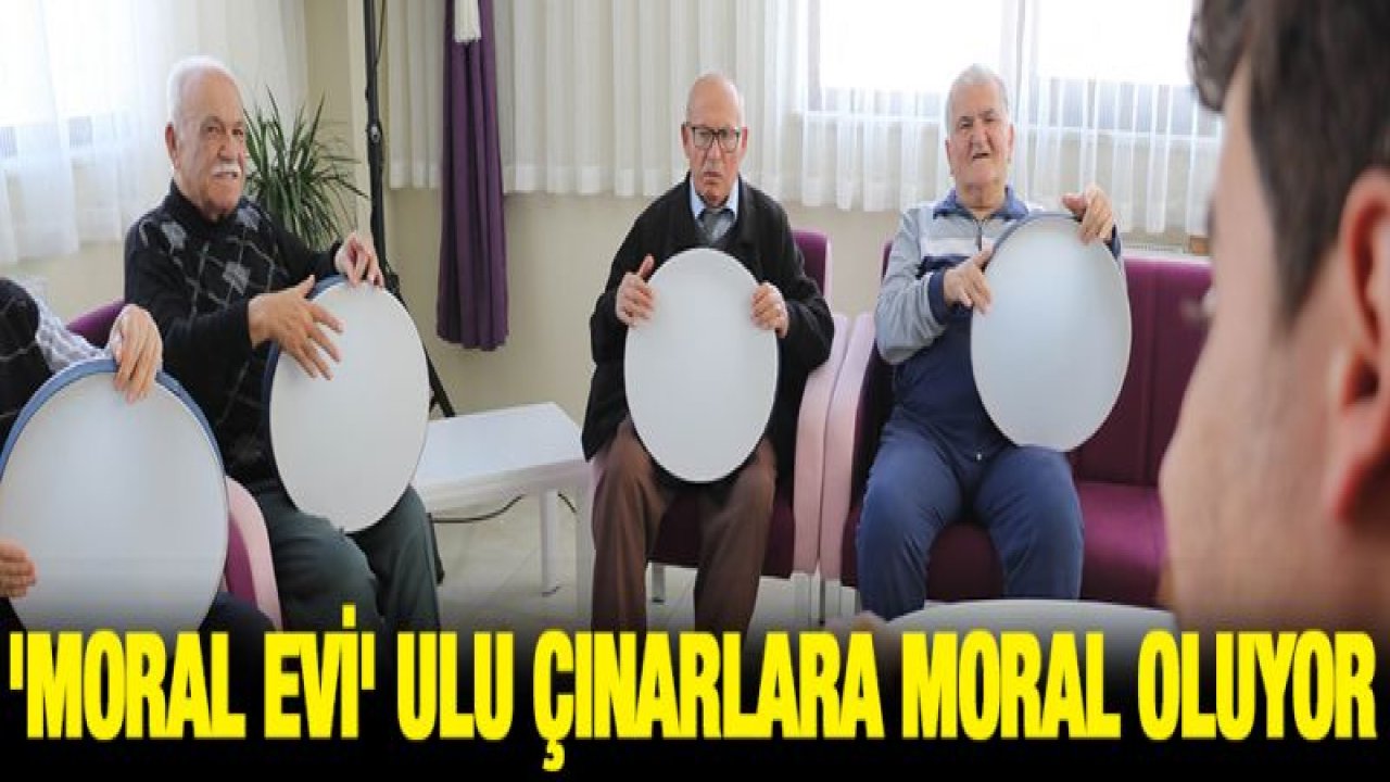 'Moral Evi' ulu çınarlara moral oluyor