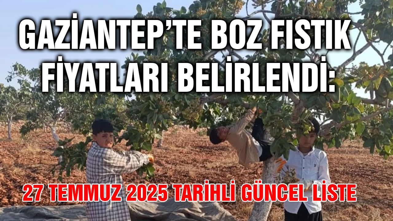Gaziantep’te Boz Fıstık Fiyatları Belirlendi: 27 Temmuz 2025 Tarihli Güncel Liste