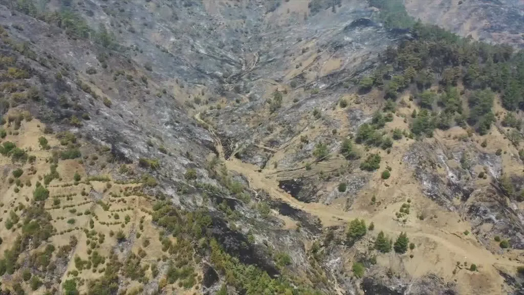 Gaziantep’ten Maraş’a Orman Yangınına Destek!