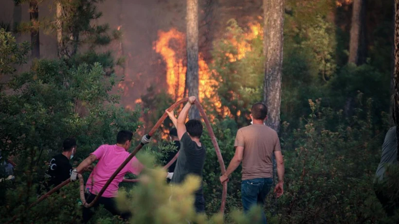 Bursa, Karabük ve Kahramanmaraş’ta Orman Yangınları Korkutuyor