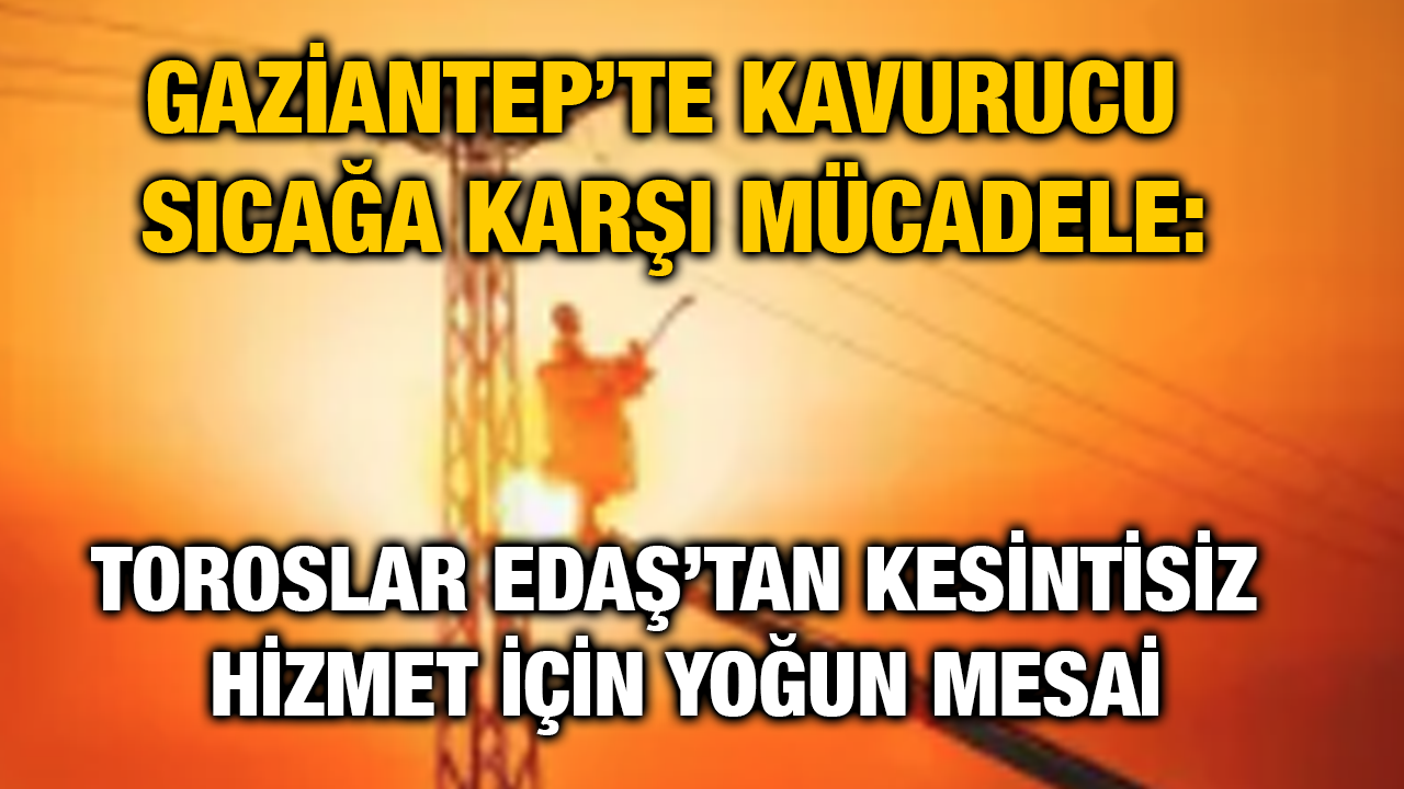 Gaziantep’te Kavurucu Sıcağa Karşı Mücadele: Toroslar EDAŞ’tan Kesintisiz Hizmet İçin Yoğun Mesai