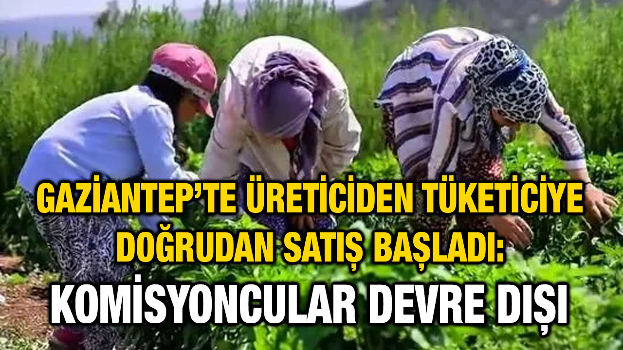 Gaziantep’te Üreticiden Tüketiciye Doğrudan Satış Başladı: Komisyoncular Devre Dışı