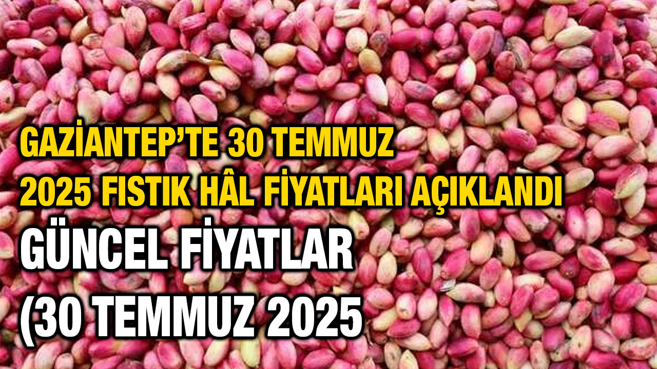 Gaziantep’te 30 Temmuz 2025 Fıstık Hâl Fiyatları Açıklandı