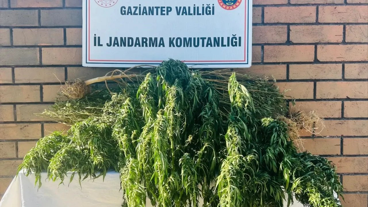 Gaziantep’te Uyuşturucu Operasyonu: 3 Gözaltı, 1 Tutuklama