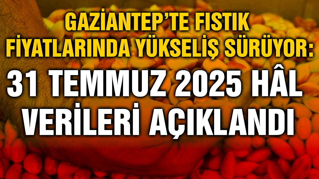 Gaziantep’te Fıstık Fiyatlarında Yükseliş Sürüyor: 31 Temmuz 2025 Hâl Verileri Açıklandı