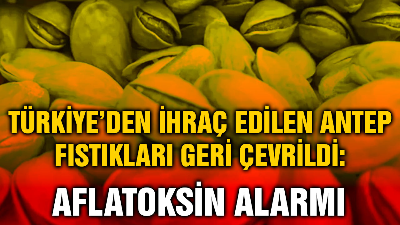 Türkiye’den İhraç Edilen Antep Fıstıkları Geri Çevrildi: Aflatoksin Alarmı