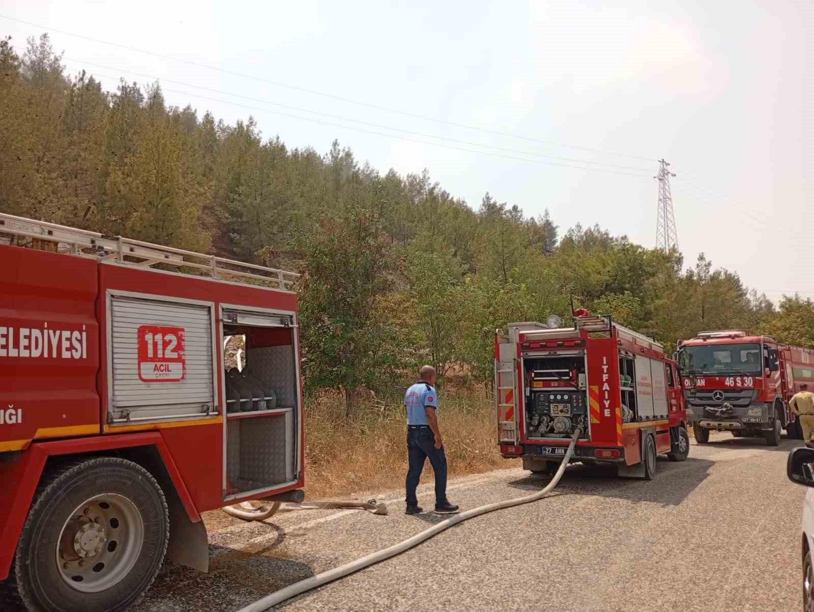 Gaziantep’in Nizip İlçesinde Korkutan Yangın: Belkız Mesire Alanı Alevlere Teslim Oldu